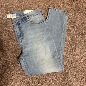 LOFT Light Blue Denim Pants
